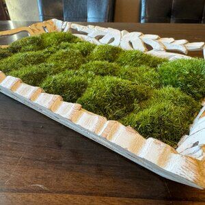 Preserved Moss etched white Tray: table / desk decor, wedding, contemporary gift